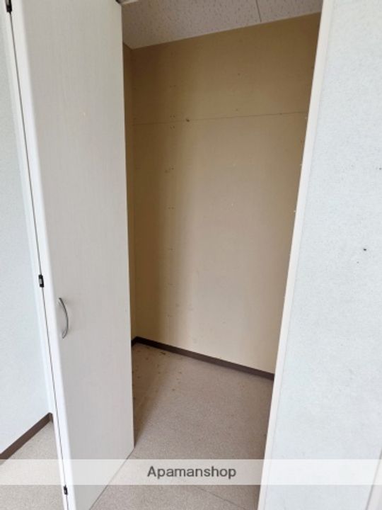 彩輝8Aのその他画像