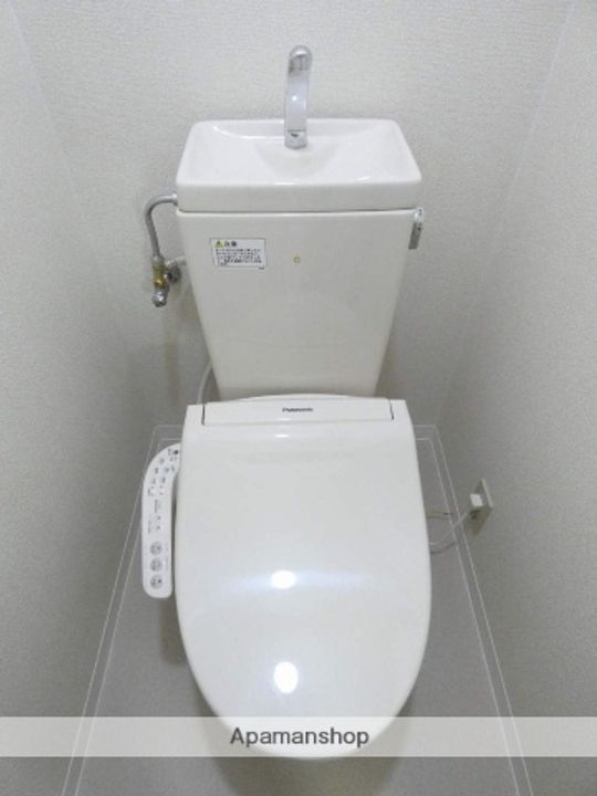 プルメリアのその他画像