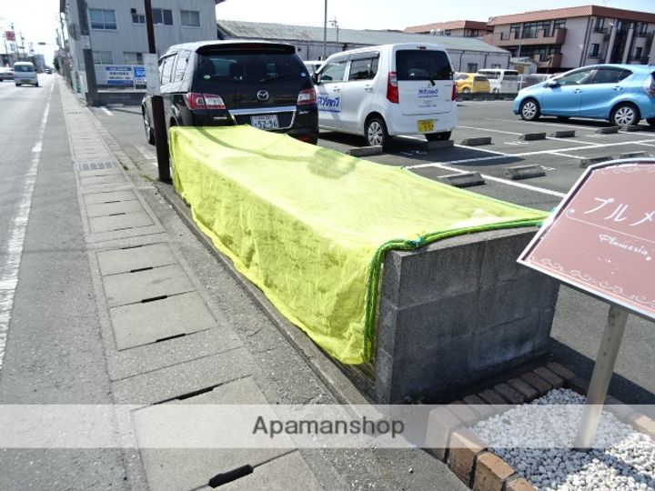 プルメリアの外観