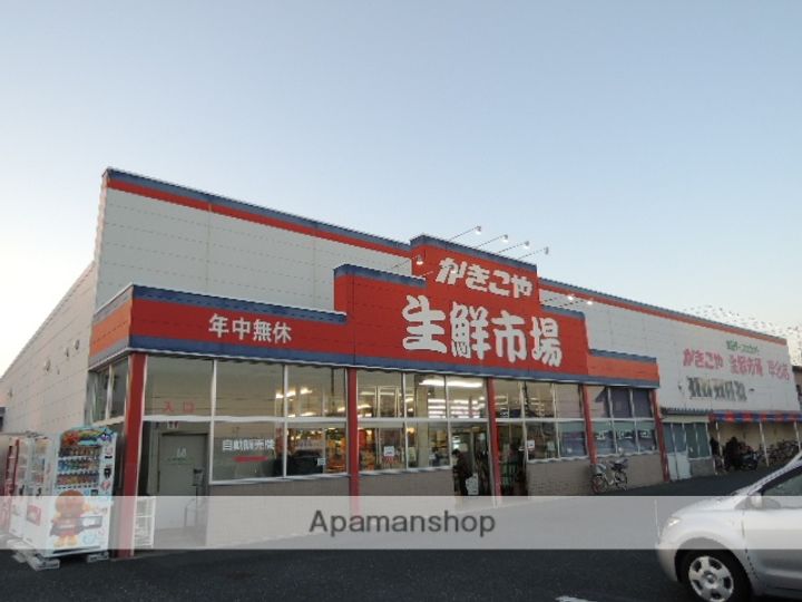 サンスプリングBの周辺