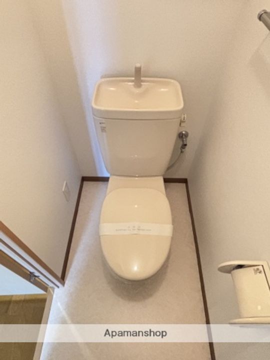 ELFINOのその他画像