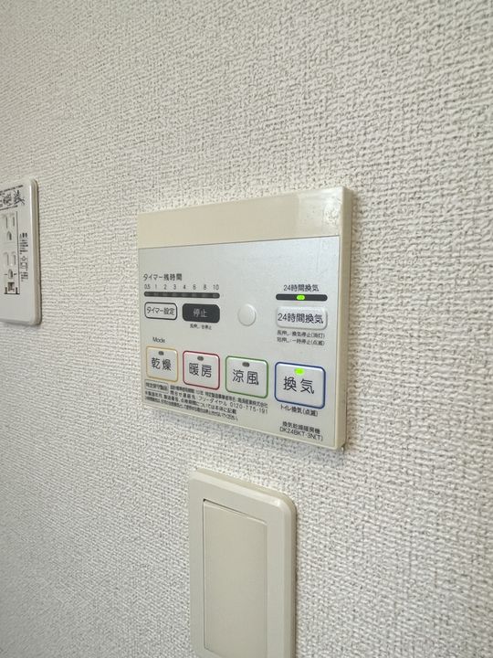 トリフォリウムのその他画像