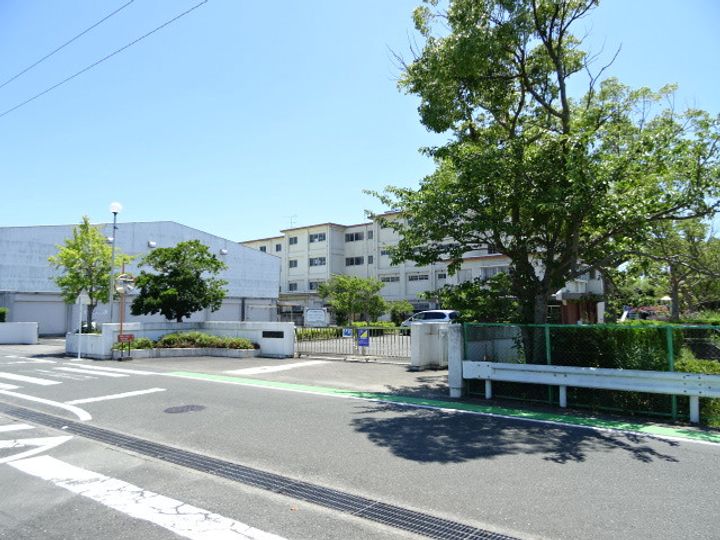 トリフォリウムの周辺