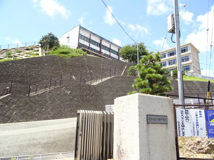 トリフォリウムの周辺