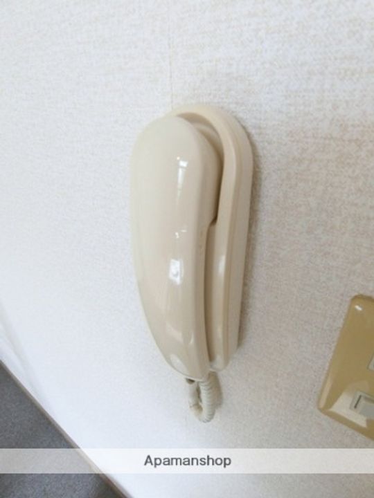 毬のその他画像