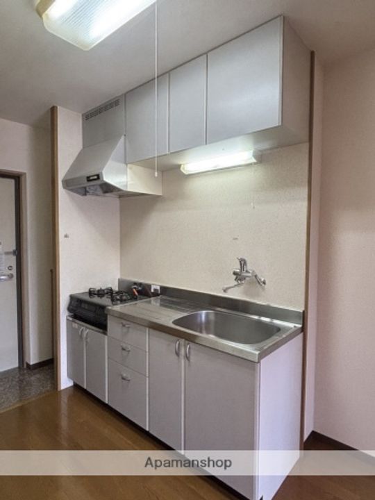 メゾンカネブン203のキッチン