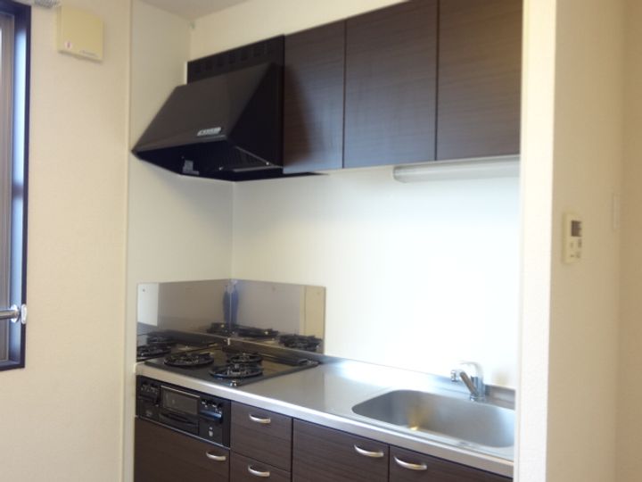 レオネクストリバーサイド花水木のキッチン