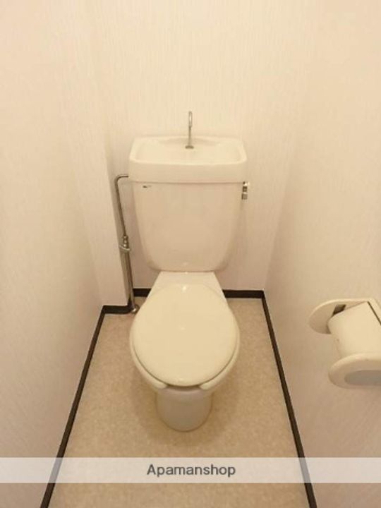 パステルグリーン1Bのその他画像