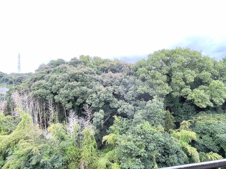 ビレッジハウス細江2号棟0503のその他画像