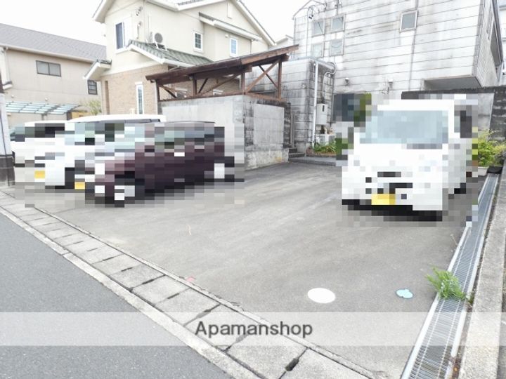 MOMOの実のその他画像