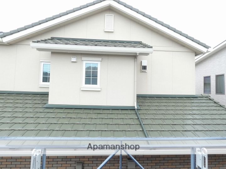 MOMOの実のその他画像