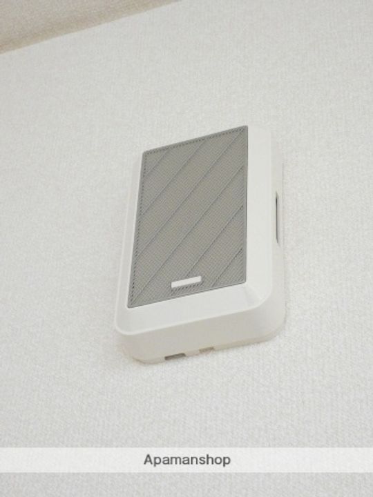 MOMOの実のその他画像