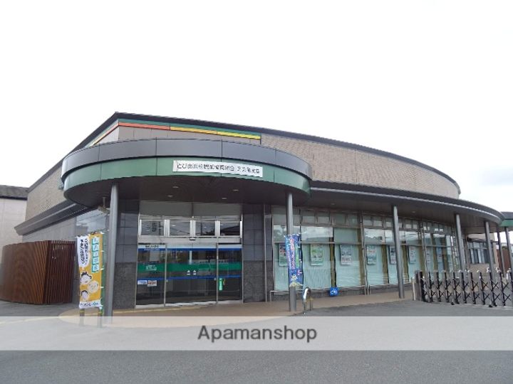 セレーナの周辺