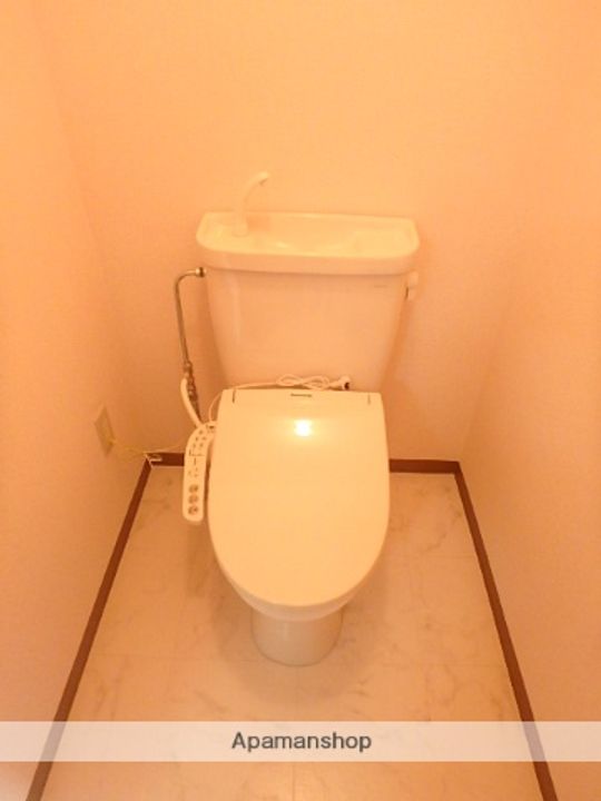 ロマネコンティのその他画像