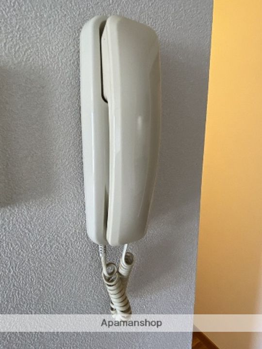 プリマベーラのその他画像