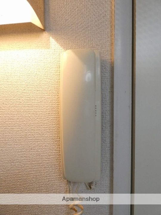 サンテラス片山204の内装