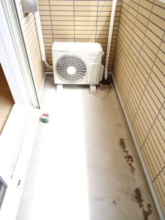 グリシーヌのその他画像