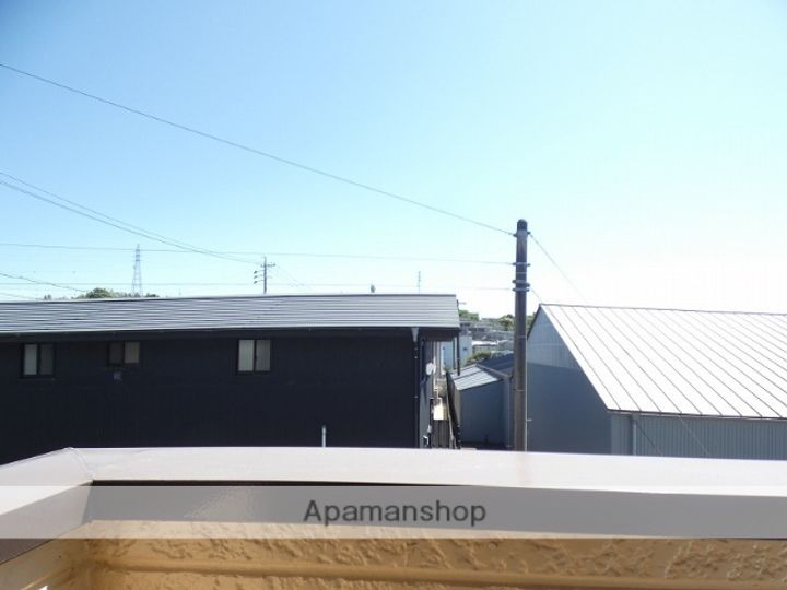 ハイツルピナスDのその他画像