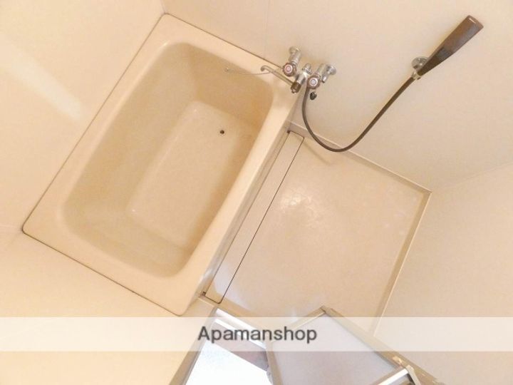 ハイツルピナスDの風呂