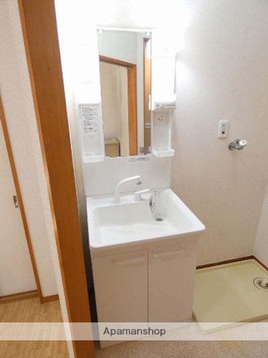 ハイツルピナスDのその他画像