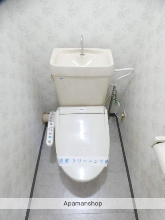 クリサンテAのその他画像