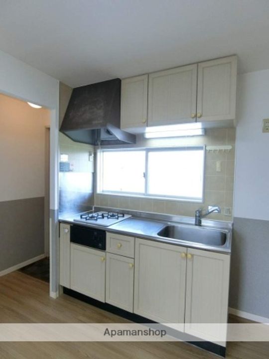 サンモール一番館202のキッチン
