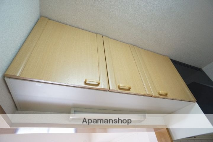 静岡県袋井市愛野東1丁目の賃貸マンションの内装