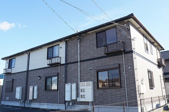 パッションフラワーの外観