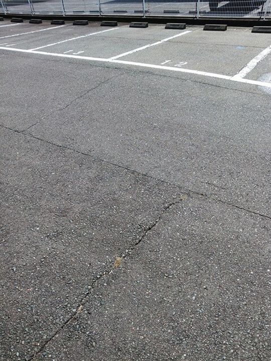 エレガント・ヴィラのその他画像