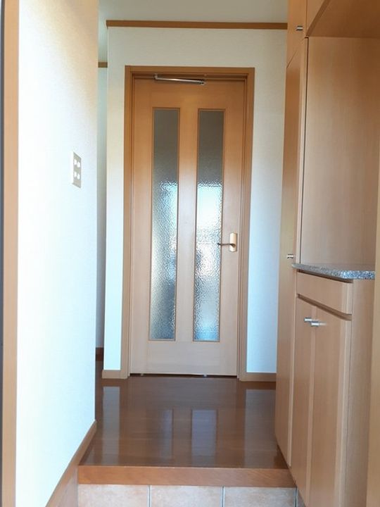 ヴィオラ Uのその他画像