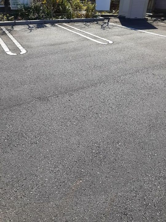 ヴィオラ Uのその他画像