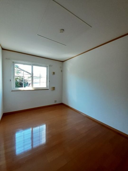 ヴィオラ Uのその他画像