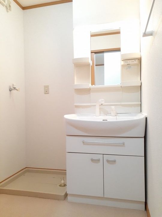 ヴィオラ Uのその他画像