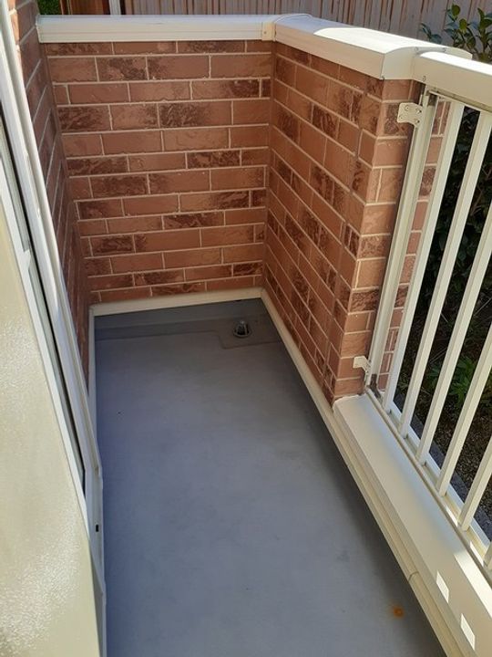 ヴィオラ Uのその他画像