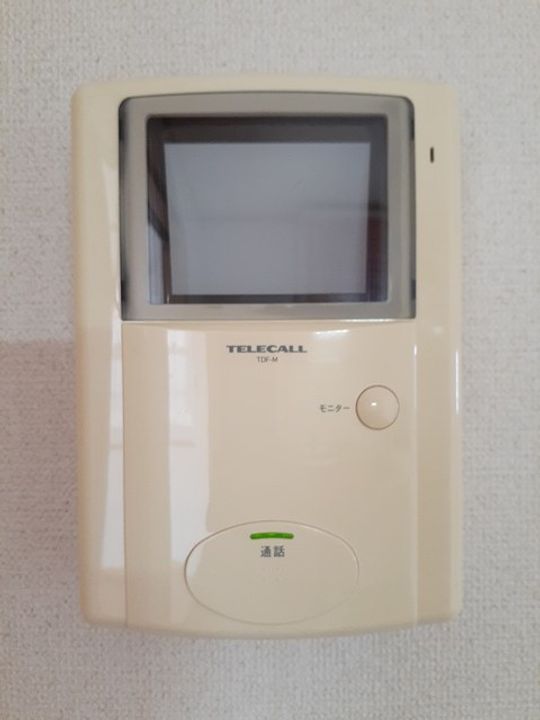 ヴィオラ Uのその他画像