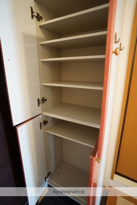 静岡県浜松市中央区半田山5丁目の賃貸マンションの内装