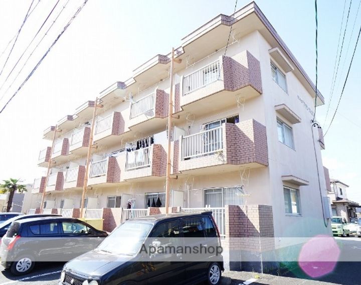 静岡県浜松市浜名区中条の賃貸マンション202の外観