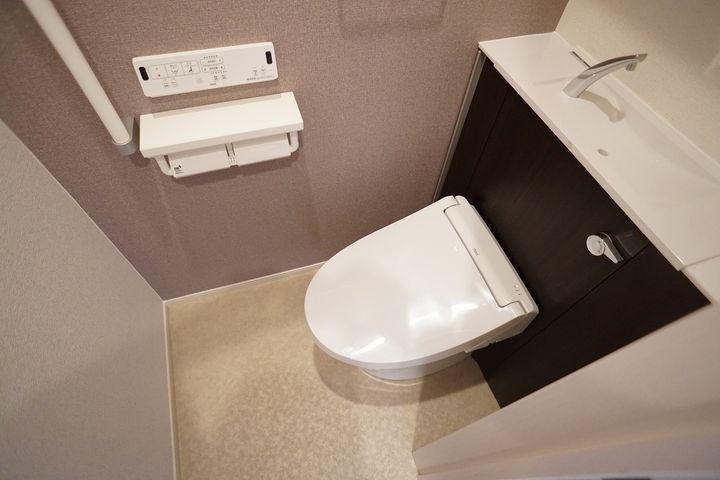 シャトンのその他画像