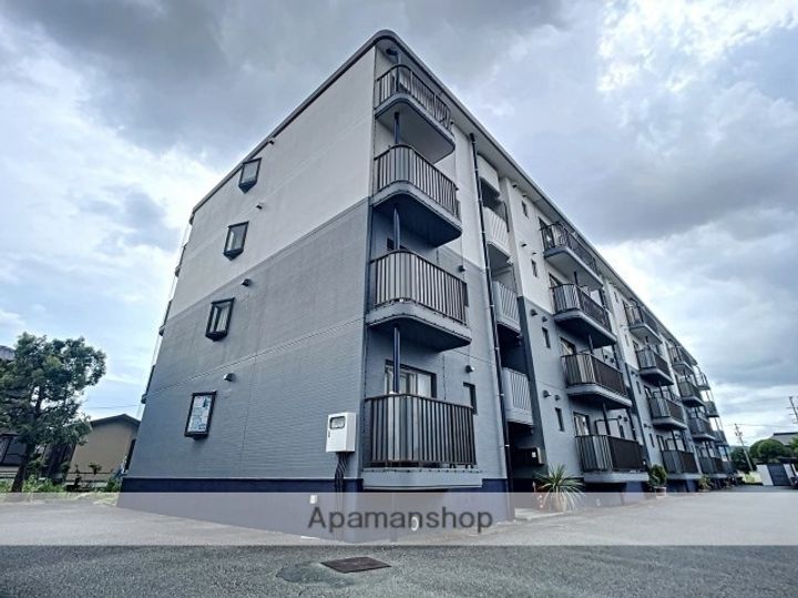 静岡県浜松市浜名区中瀬の賃貸マンションの内装