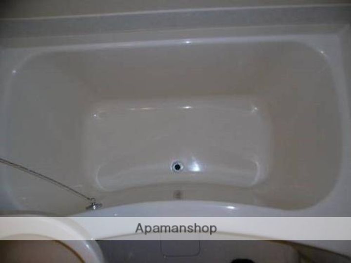 メゾン・ド・タンプル306の風呂