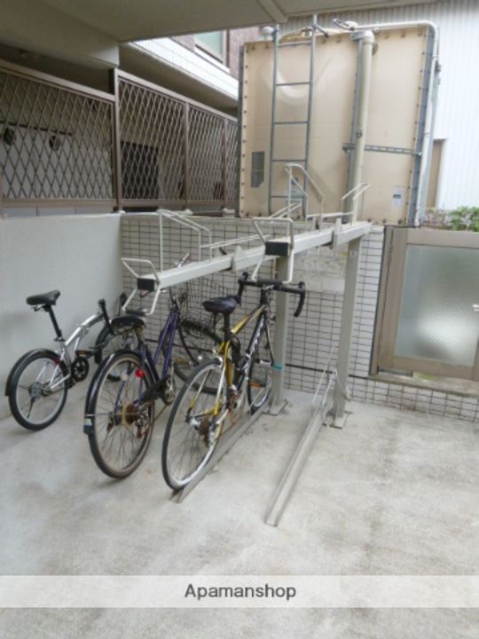 椿のその他画像