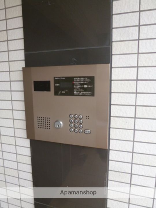 椿のその他画像