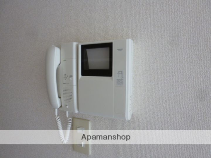 椿のその他画像