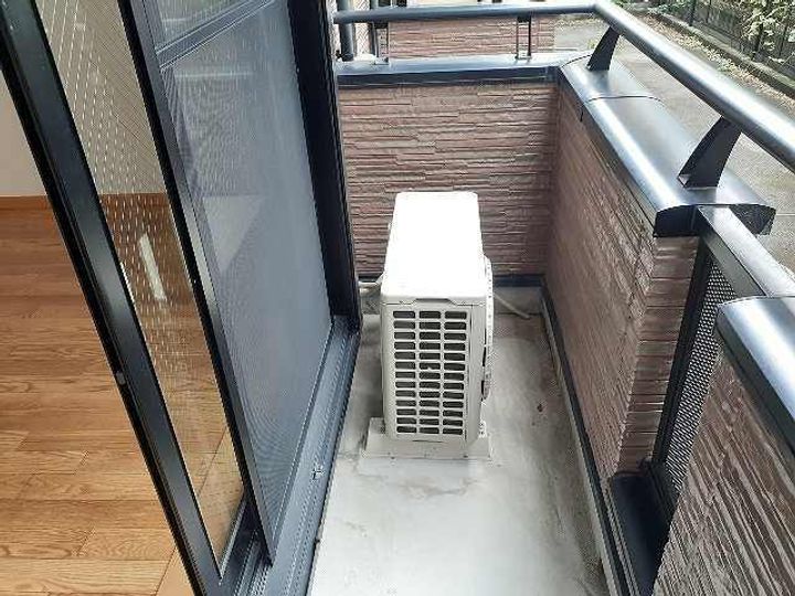 プラシード・Tのその他画像