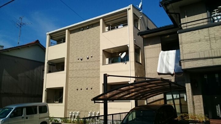 シェモア角割の外観