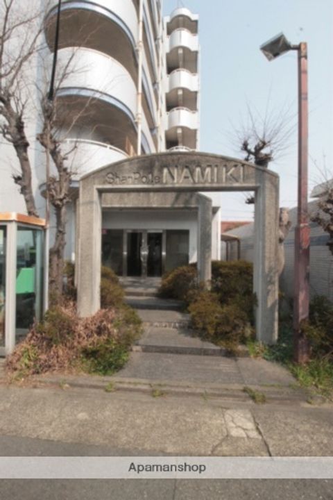 シャンポール並木のその他画像