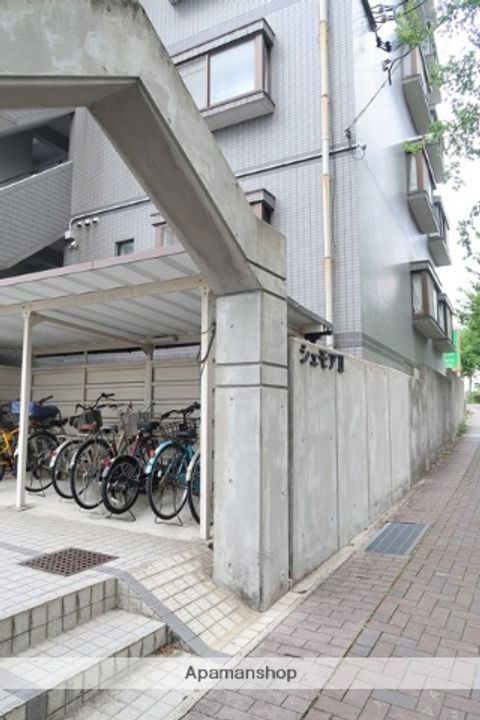 シェモア 2のその他画像