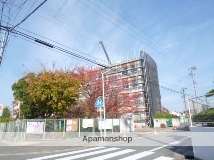 カサ フェリスの周辺