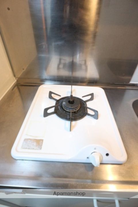 メゾンアイレスⅡのその他画像