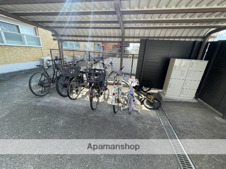 パピヨン香流のその他画像